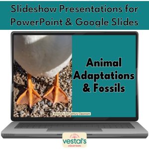 animal-adaptations-slideshow-preview-1
