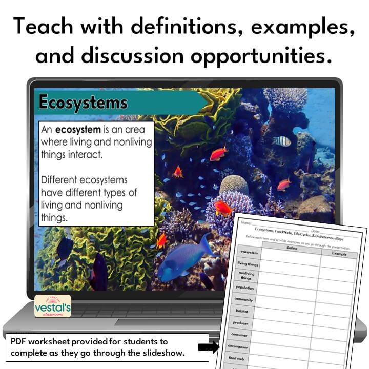 ecosystems-slideshow-preview-2