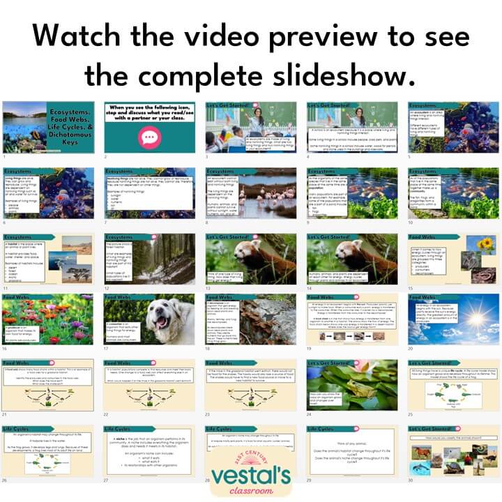 ecosystems-slideshow-preview-4